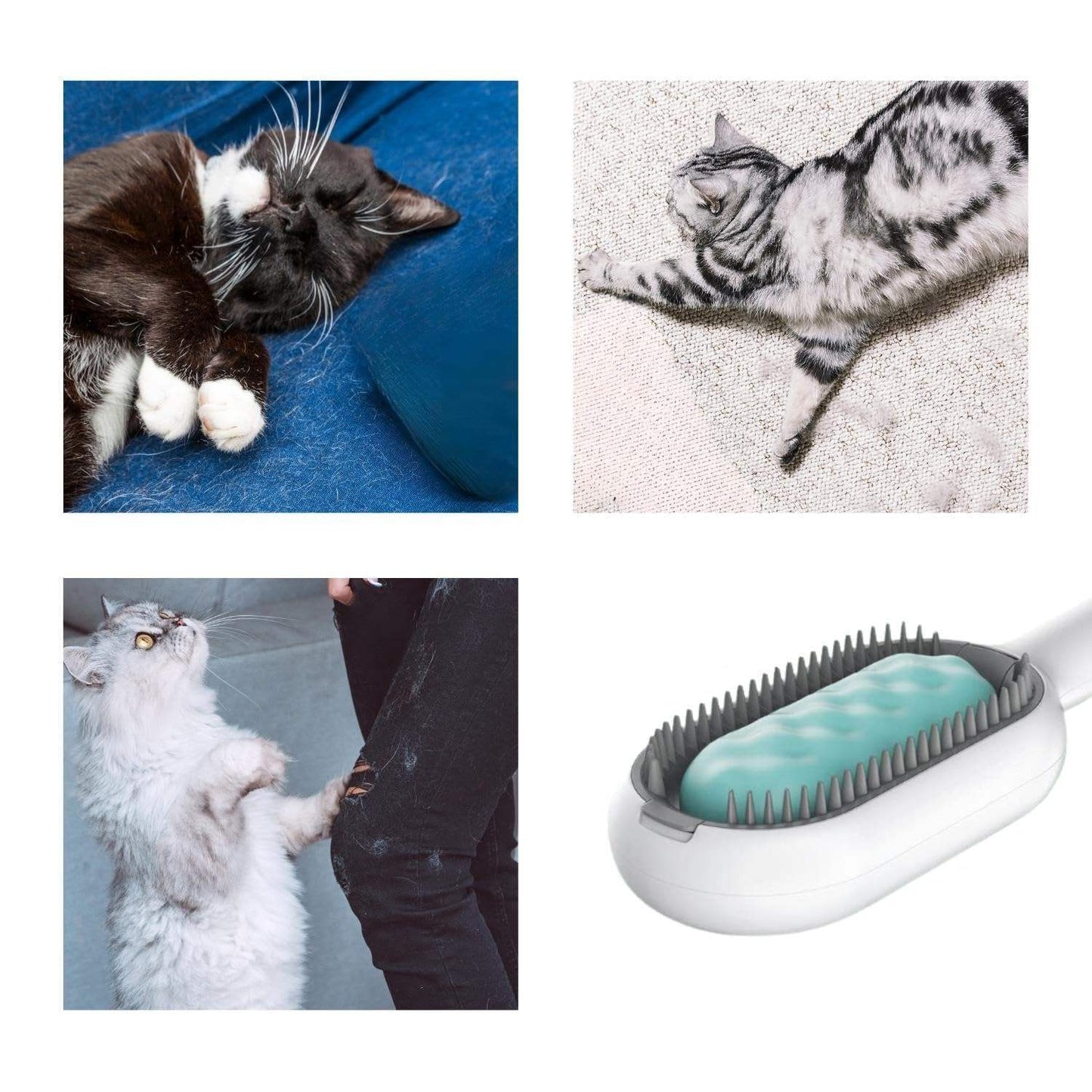 4-in-1 Cat Hair Brush with Water Tank – Double-Sided Grooming Comb