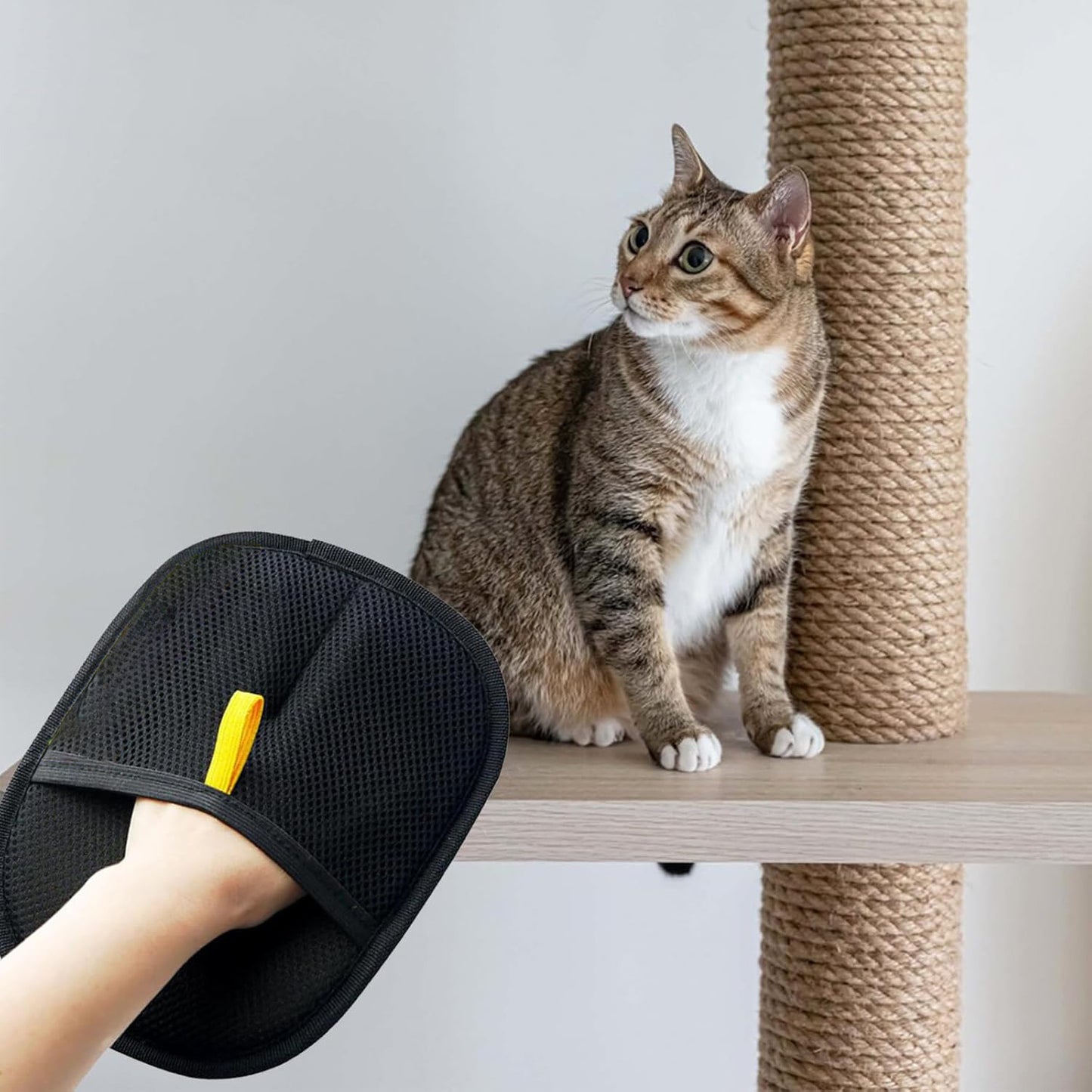 Pet Hair Removal Gloves – Electrostatic Brush for Cats & Dogs