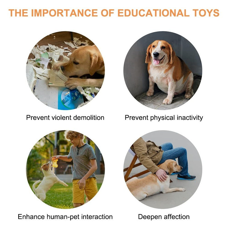Recordable Pet Talking Button – Communication Toy for Dogs & Cats