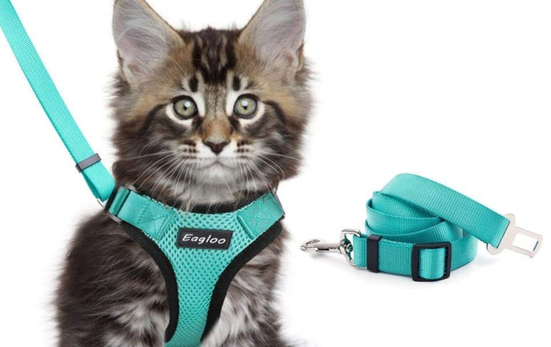 Escape-Proof Cat Harness & Car Seatbelt – Adjustable Reflective Mesh Vest