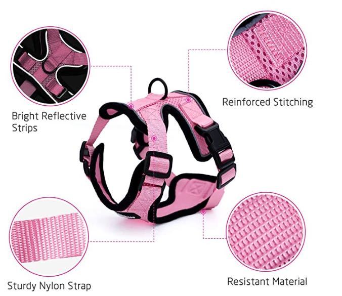 Escape-Proof Cat Harness & Car Seatbelt – Adjustable Reflective Mesh Vest