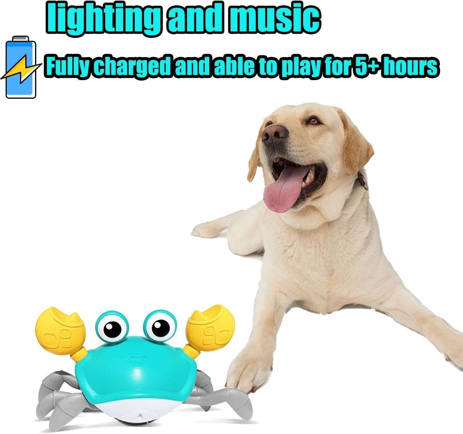 Interactive Crawling Crab Dog Toy – Obstacle Avoidance, Music & Lights