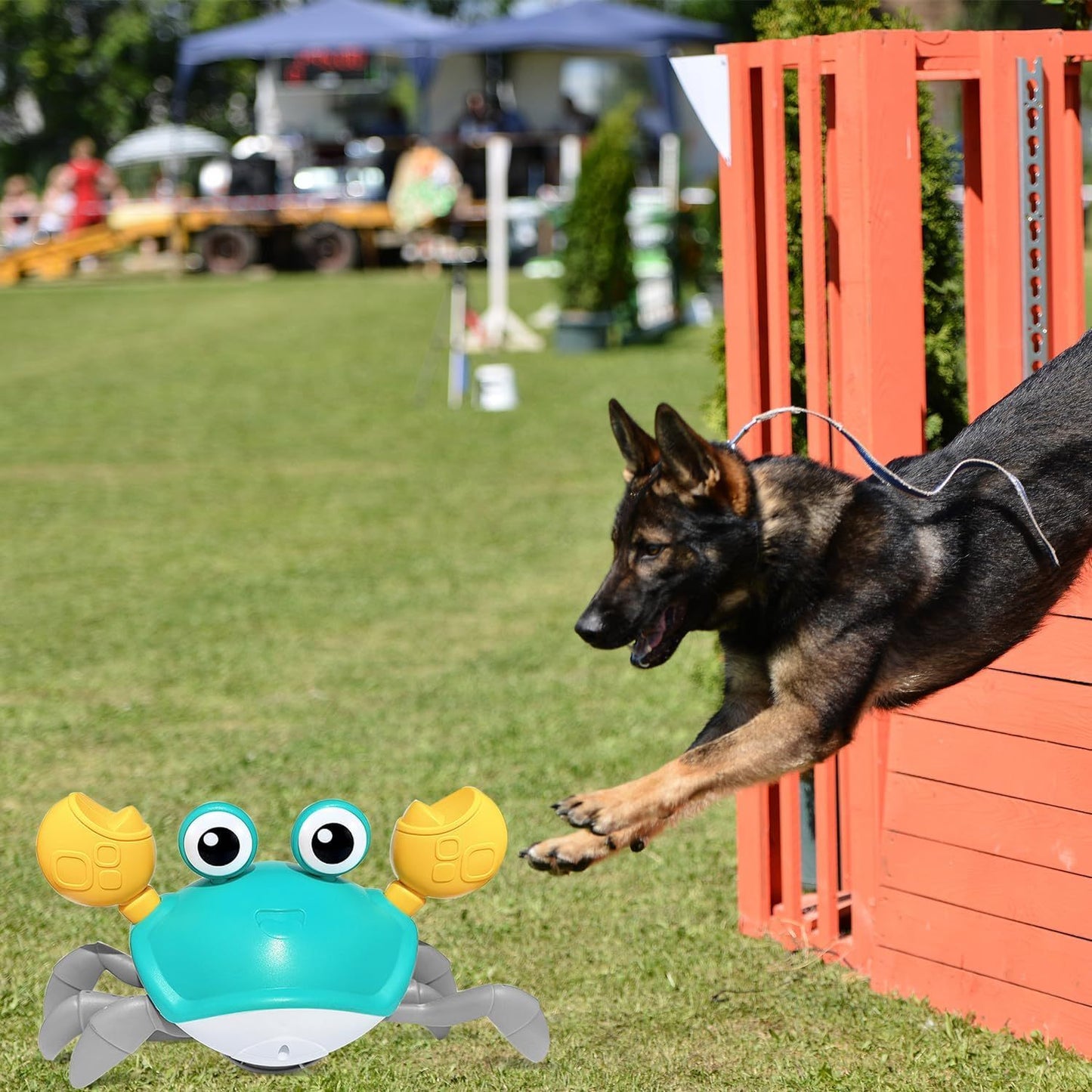 Interactive Crawling Crab Dog Toy – Obstacle Avoidance, Music & Lights