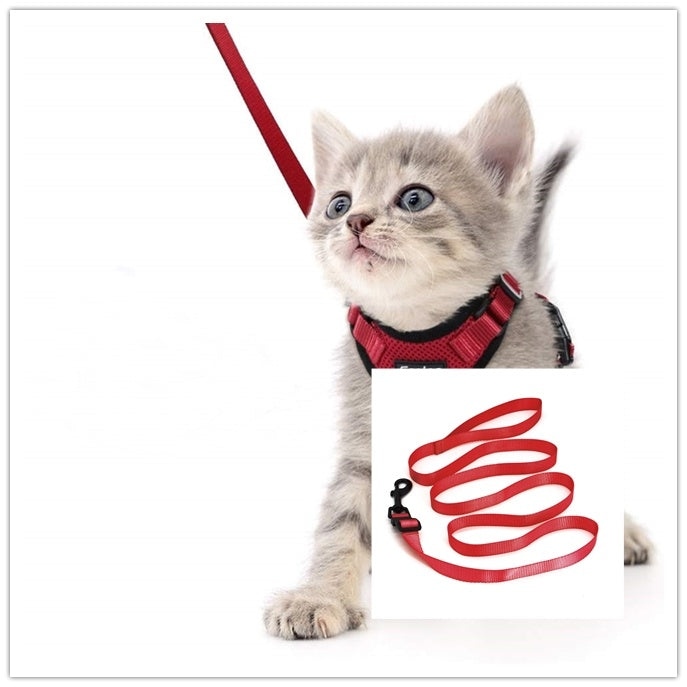 Escape-Proof Cat Harness & Car Seatbelt – Adjustable Reflective Mesh Vest